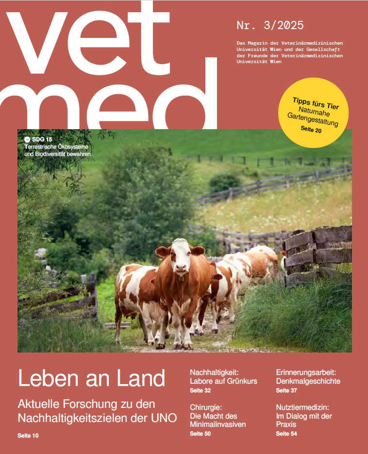 Vetmed Magazin Ausgabe Nr. 3 / 2025